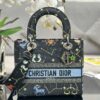 Dior Medium Lady D-Lite bag