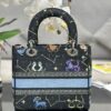 Dior Medium Lady D-Lite bag