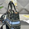 Dior Medium Lady D-Lite bag