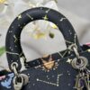Dior Medium Lady D-Lite bag
