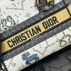 Dior Medium Lady D-Lite bag