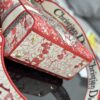 Dior Medium Lady D-Lite bag