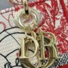 Dior Medium Lady D-Lite bag