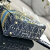 Dior Medium Lady D-Lite bag