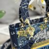 Dior Medium Lady D-Lite bag