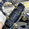 Dior Medium Lady D-Lite bag