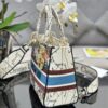 Dior Medium Lady D-Lite bag