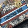 Dior Medium Lady D-Lite bag