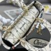Dior Medium Lady D-Lite bag