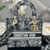 Dior Medium Lady D-Lite bag