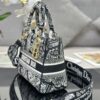 Dior Medium Lady D-Lite bag