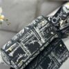 Dior Medium Lady D-Lite bag