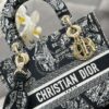 Dior Medium Lady D-Lite bag