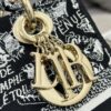 Dior Medium Lady D-Lite bag