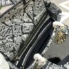 Dior Medium Lady D-Lite bag