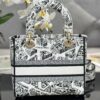 Dior Medium Lady D-Lite bag