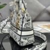 Dior Medium Lady D-Lite bag