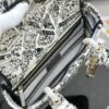Dior Medium Lady D-Lite bag