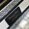 Dior Medium Lady D-Lite bag