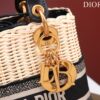 Dior Medium Lady D-Lite bag