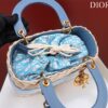 Dior Medium Lady D-Lite bag