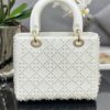 Dior Medium Lady D-Lite bag