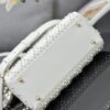 Dior Medium Lady D-Lite bag