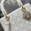 Dior Medium Lady D-Lite bag