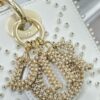 Dior Medium Lady D-Lite bag