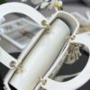 Dior Medium Lady D-Lite bag