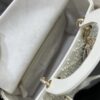 Dior Medium Lady D-Lite bag