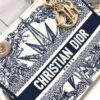 Dior Medium Lady D-Lite bag