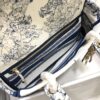 Dior Medium Lady D-Lite bag