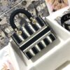 Dior Medium Lady D-Lite bag
