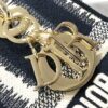 Dior Medium Lady D-Lite bag