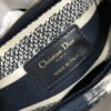 Dior Medium Lady D-Lite bag