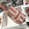 Dior Medium Lady D-Lite bag