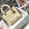 Dior Medium Lady D-Lite bag