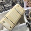 Dior Medium Lady D-Lite bag