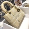 Dior Medium Lady D-Lite bag