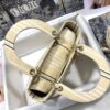 Dior Medium Lady D-Lite bag