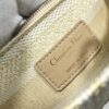 Dior Medium Lady D-Lite bag