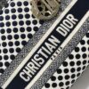 Dior Medium Lady D-Lite bag