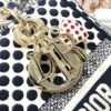 Dior Medium Lady D-Lite bag