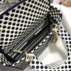 Dior Medium Lady D-Lite bag
