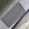 SMALL LADY DIOR
