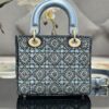 SMALL LADY DIOR