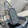 SMALL LADY DIOR