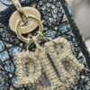 SMALL LADY DIOR