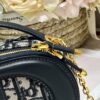 DIOR CD SIGNATURE OVAL CAMERA BAG